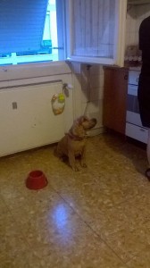 IMG_1030