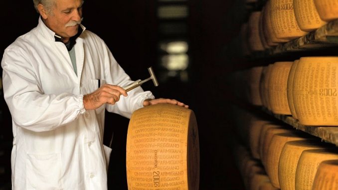 Parmigiano Reggiano esperto battitore CGu 209