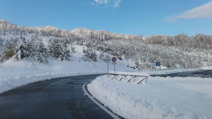 neve
