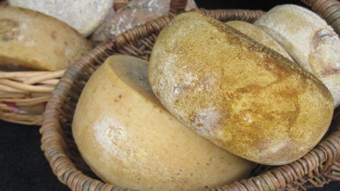 formaggio1
