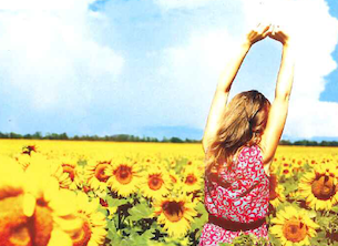 girasoli