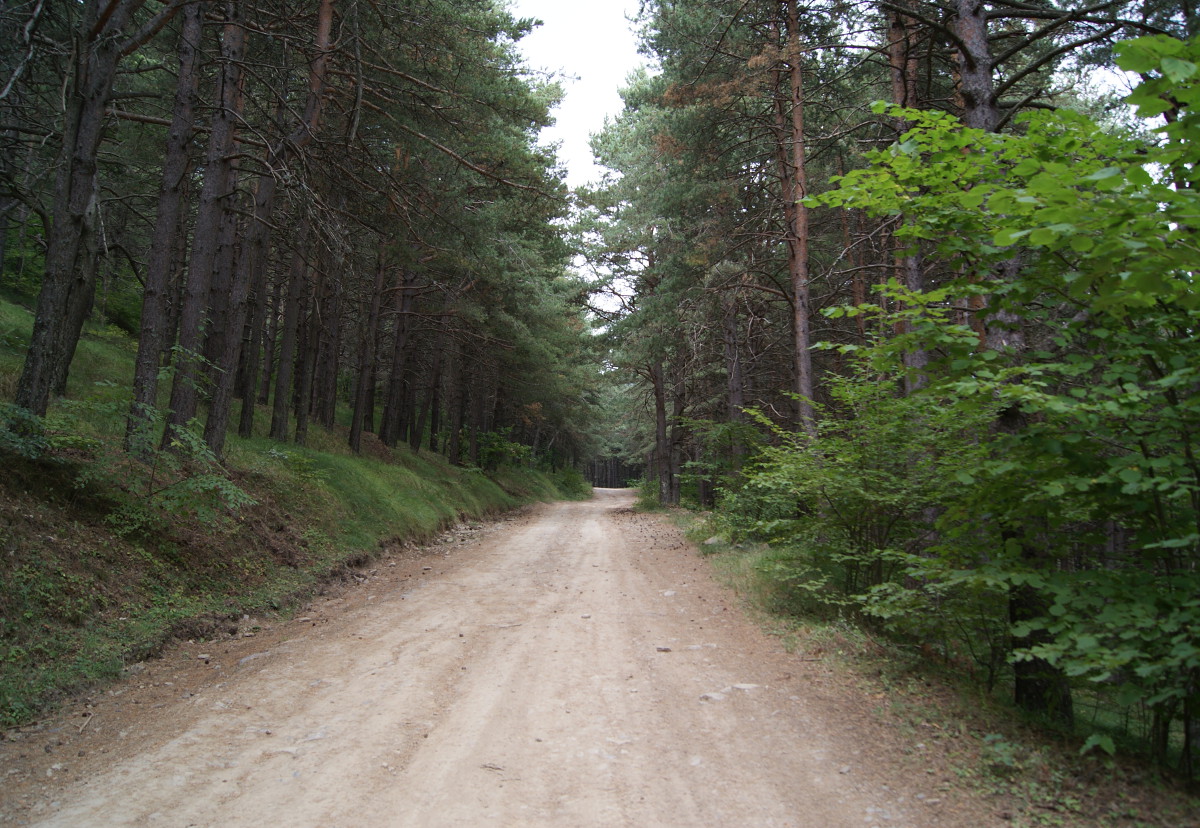 strade