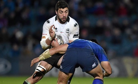 Leinster v Zebre - Guinness PRO12 Round 14