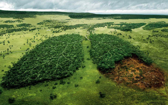 wwf
