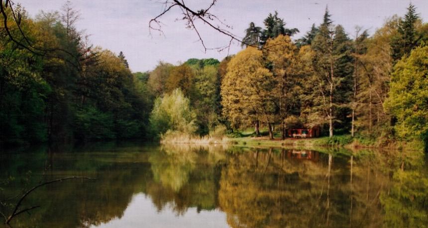 lago