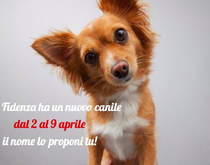 fidenza