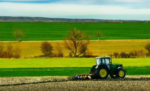 agricoltura