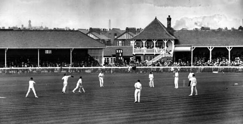 cricket