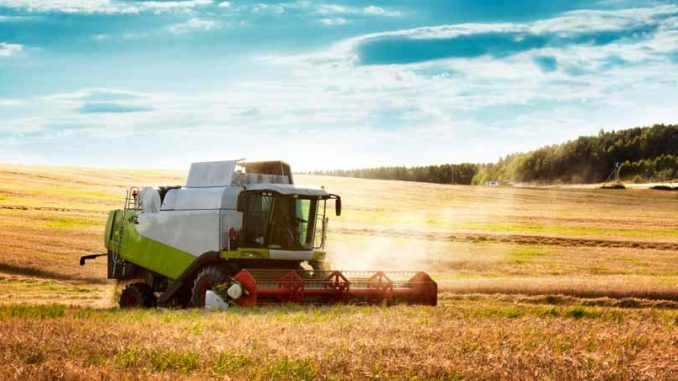 agricoltura