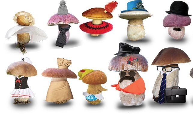 funghi