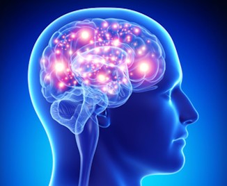 neuroscienze