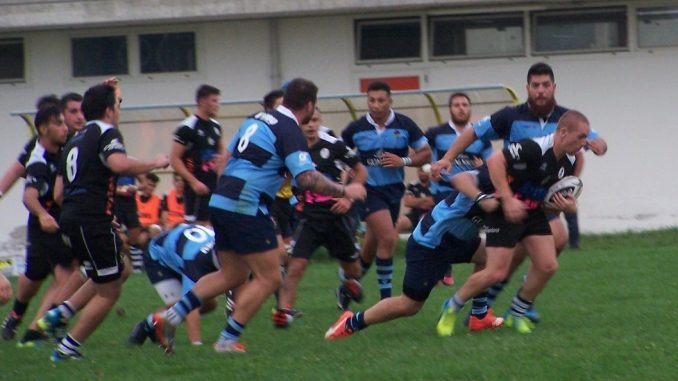 amatori