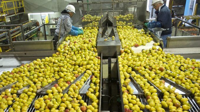 lavoro2