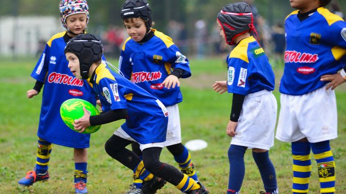 mini-rugby