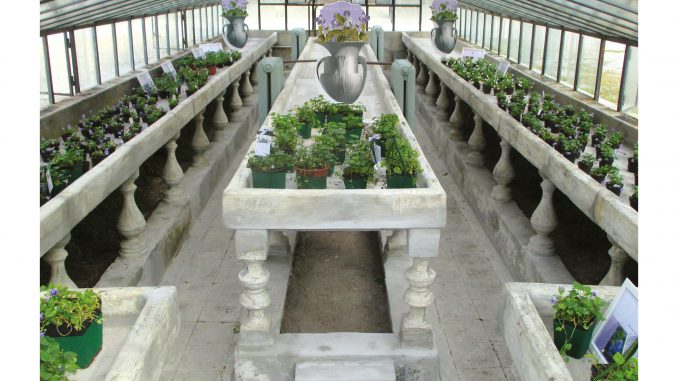 5_Foto_Serra_Storica2