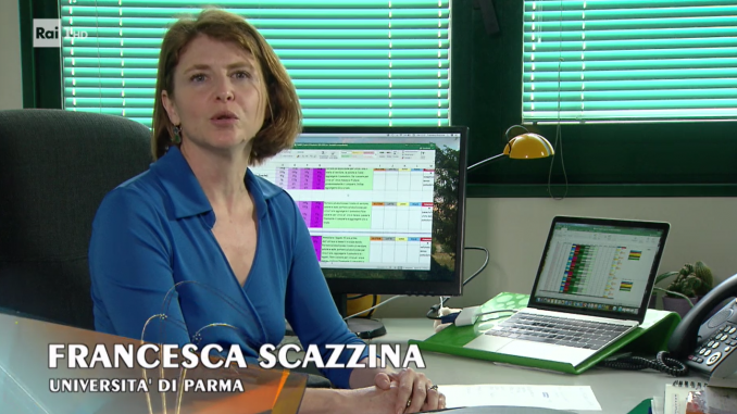 scazzina