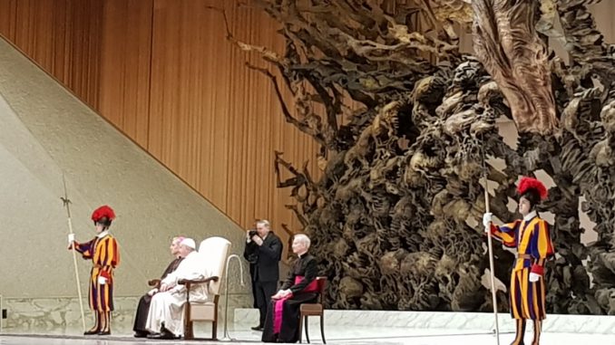 papa