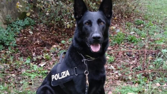 polizia