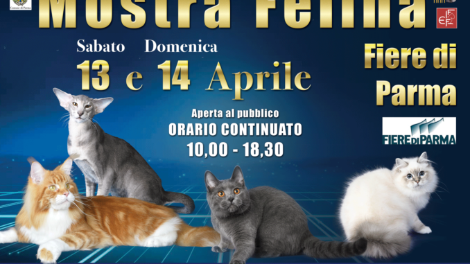 mostrafelina_parma