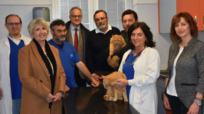 microchip gatti (1)