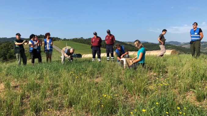 biancone 2019-07-22 at 09.10.49