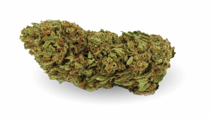 cannabis