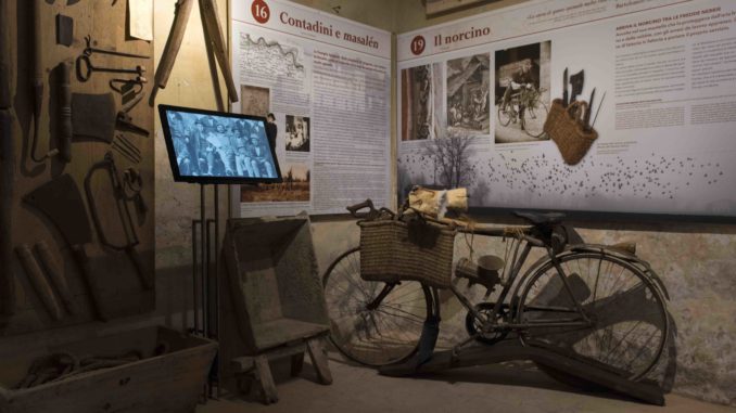 museocibo