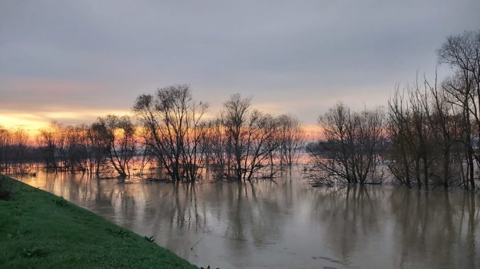 piena_po1