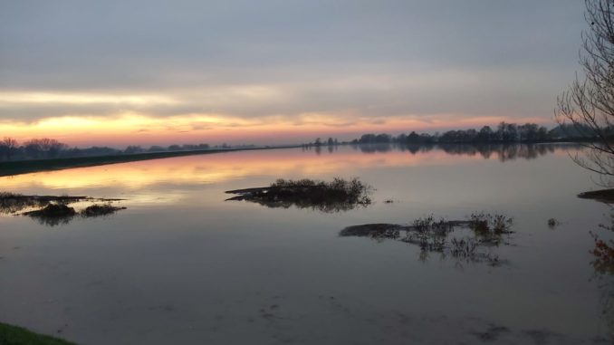 piena_po5