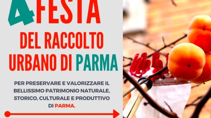 raccolto_urbano