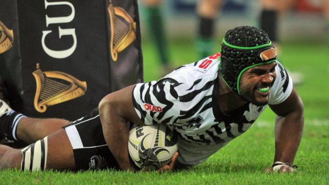 zebre