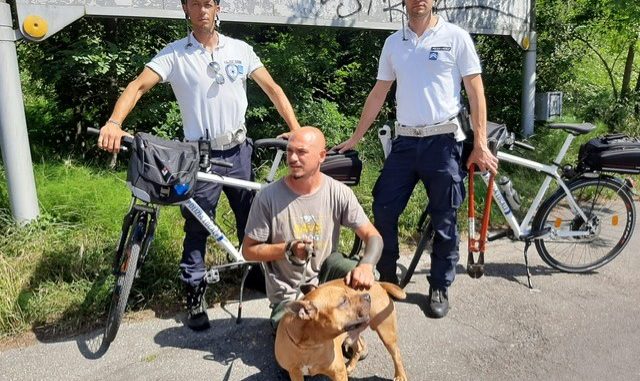 pittbull