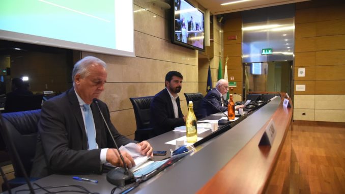 Presentazione Rapporto in Regione