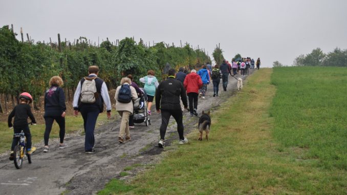 camminata