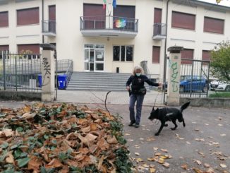 spaccio parma