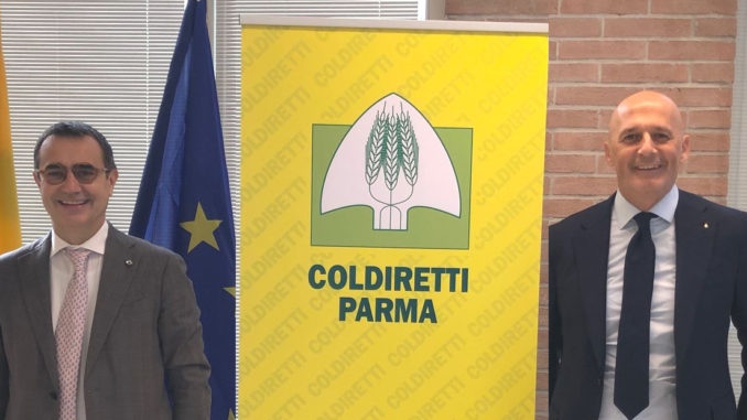 corsini orsi 11