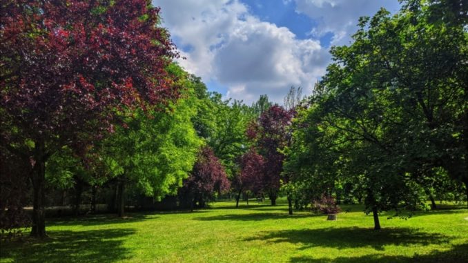parco falcone borsellino