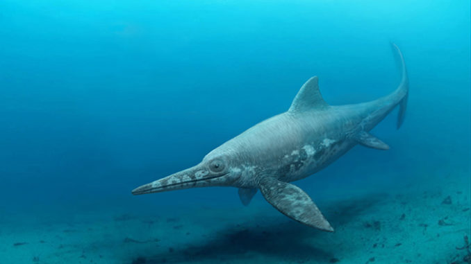 Platypterygius