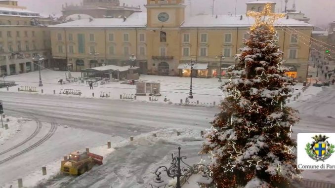 neve