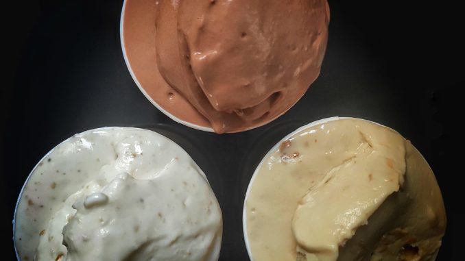 gelateria fidenza