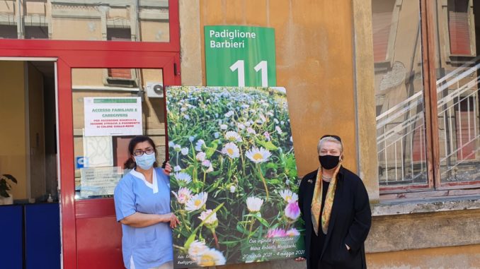 quadro_ospedale