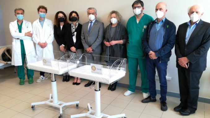da sx barusi paroni bacchi petrini pedretti frattini bacchini oretti pigazzani