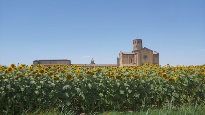 valserena