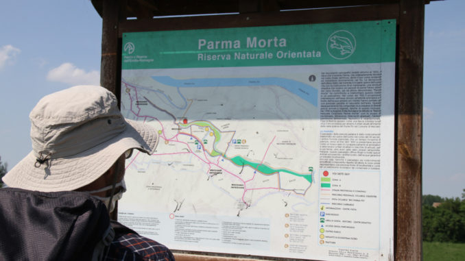 parma-morta-14