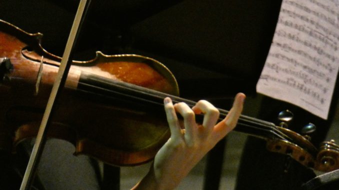 violino