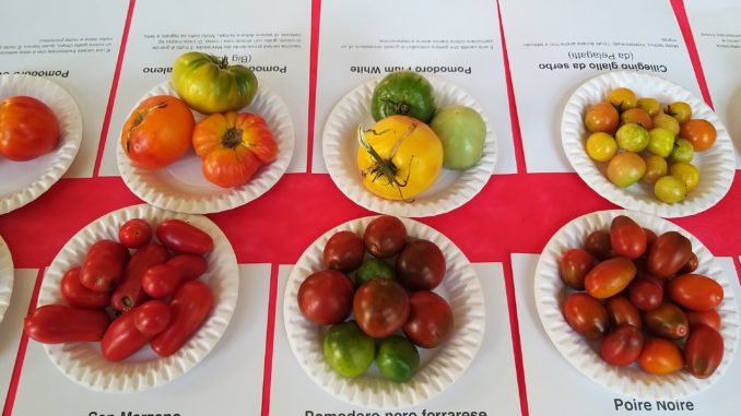 Settembre-Gastronomico_Pomodoro_Foto