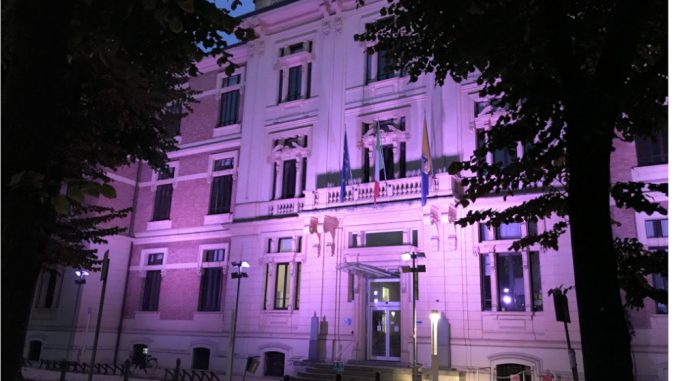 Palazzo Giordani rosaxw