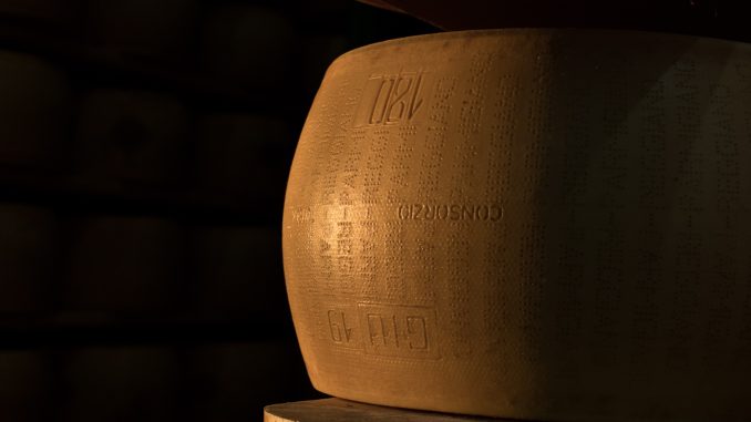 Parmigiano Reggiano_Forma