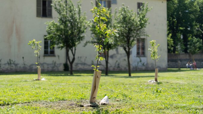 KMVerdeParma_Bosco_Maria-Luigia_Foto