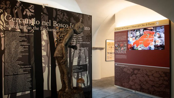museofungo2